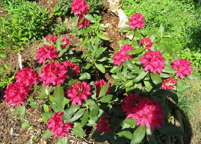 Ubytování v soukromí Maglanderhof Unterlamm (Styria)